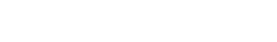 Skanska_logotype_white_RGB